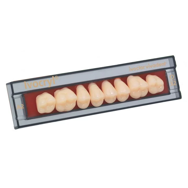 Зубы Ivocryl набор из 8 зубов жевательные верхние 32 130 539613