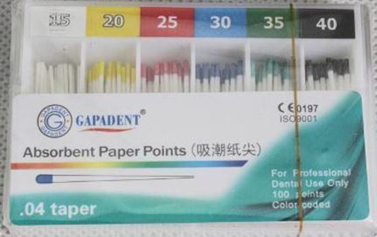 Штифты бумажные GAPADENT конус 04 размер 20 100 шт
