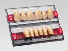 Зубы Ivocryl модель SR цвет A2 21 формы фронт.верх фасон 37 630785 6 шт